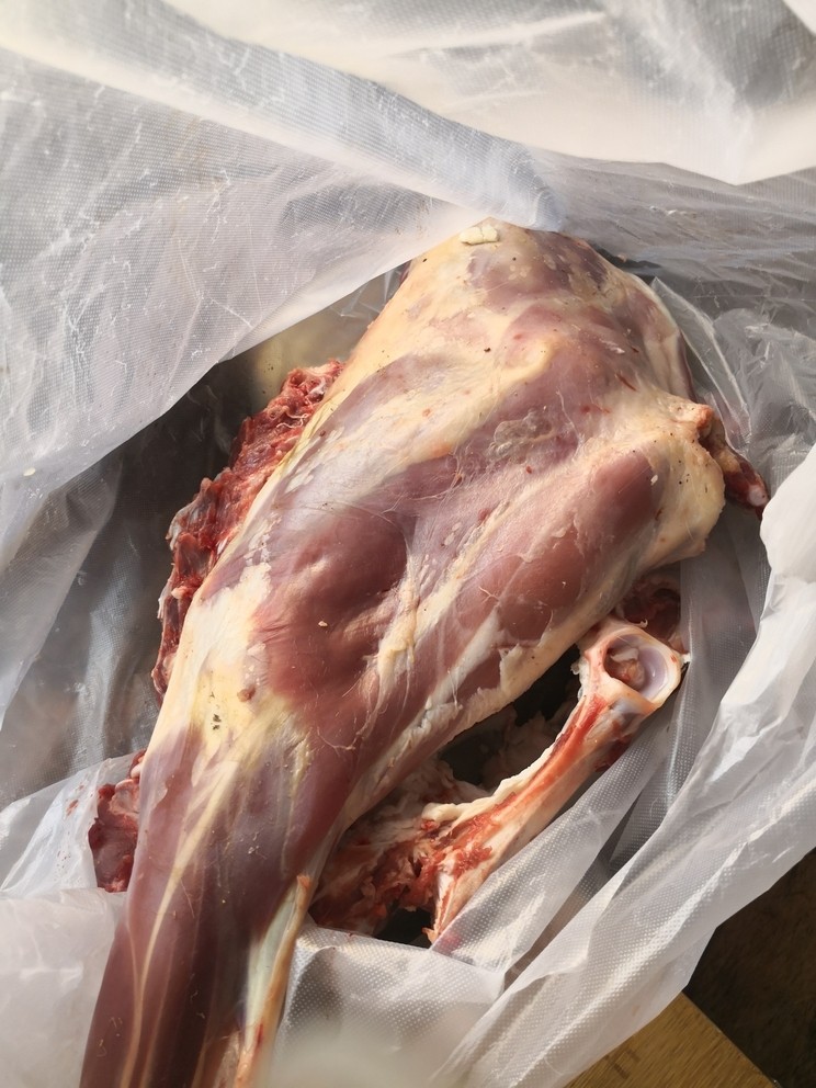 秋高氣爽喜慶愉悅