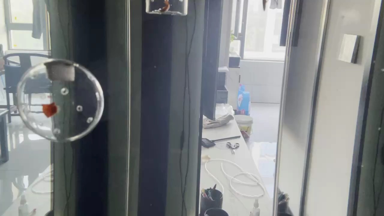 有一點掉眼了。