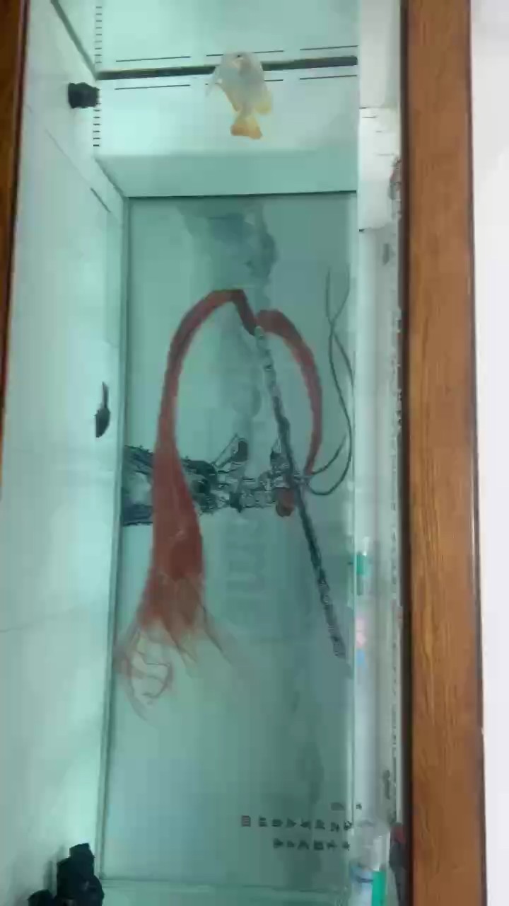 深夜換水，14天沒換，最近一直忙。