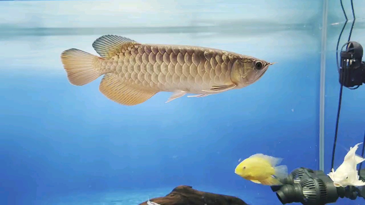 天氣轉涼，日常記錄