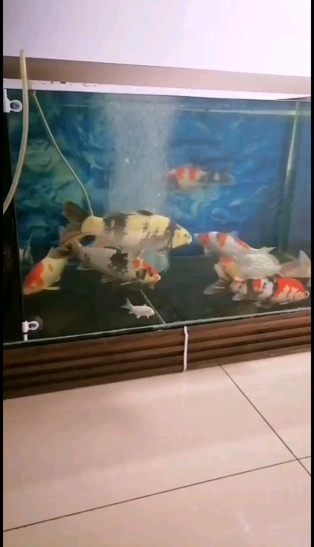 哇！