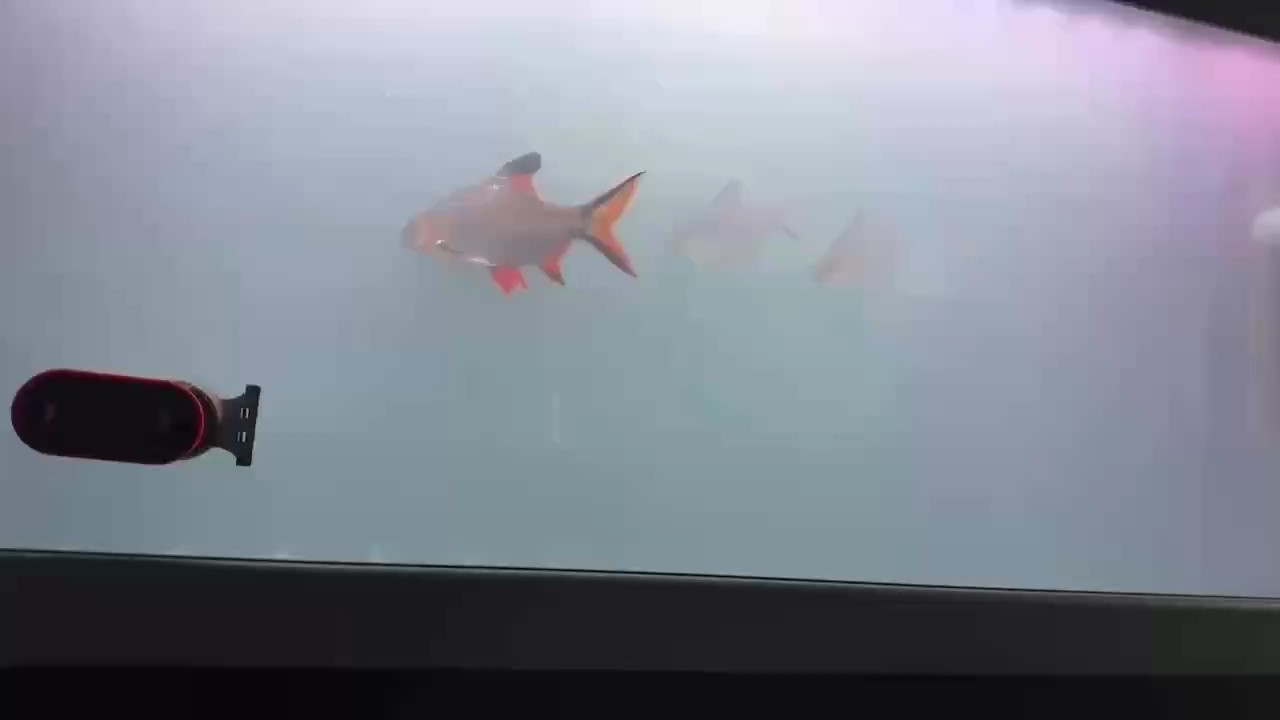 嗯？？？