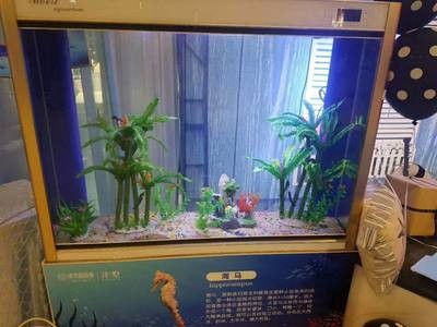 蓋州市雙臺鎮順發水族養殖場（蓋州市雙臺鎮順發水族養殖場電話）