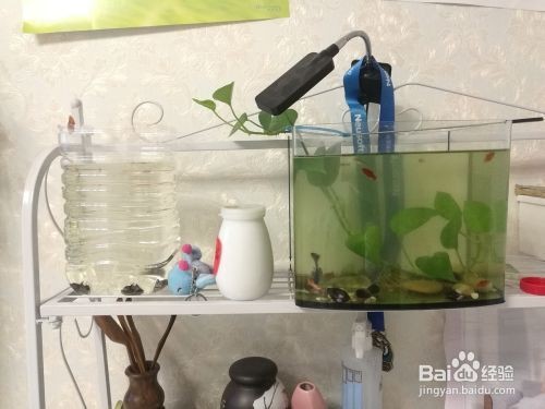 北京市玉森龍水族器材有限責任公司（北京市玉森龍水族器材有限責任公司電話）