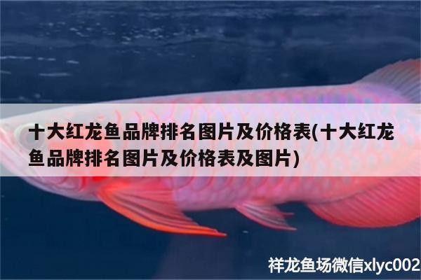 濟南魚缸回收多少錢一個小時？濟南魚缸回收市場有幾個？分別在哪，濟南魚缸回收多少錢一個小時 濟南魚缸回收多少錢一個小時？濟南魚缸回收市場有幾個？分別在哪，濟南魚缸回收多少錢一個小時 魟魚百科 第3張