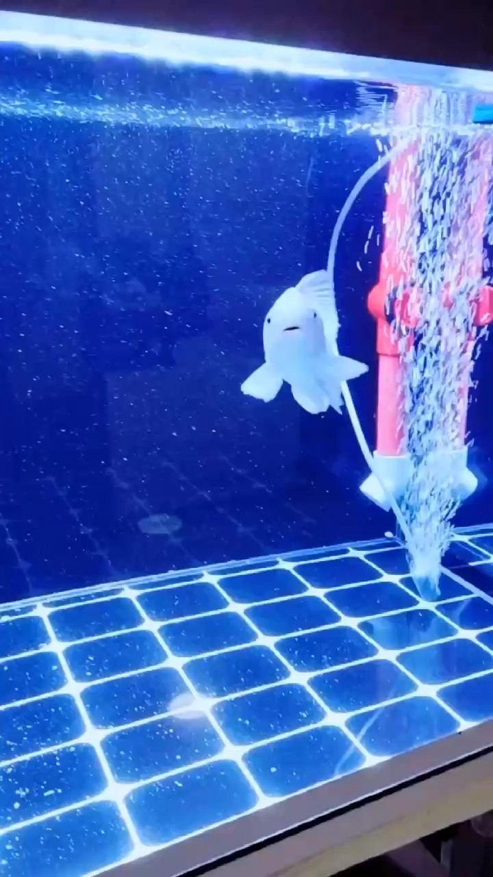 湊合玩！