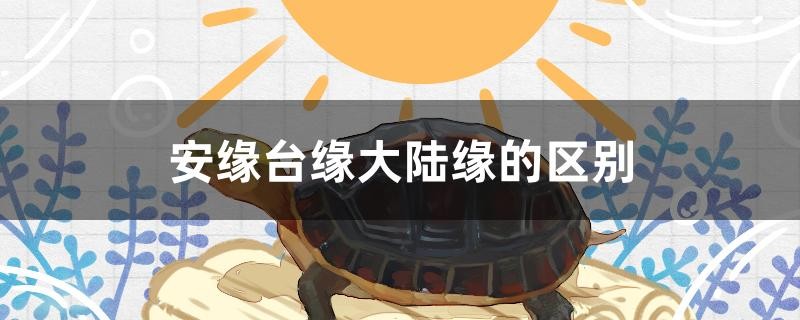安緣臺緣大陸緣的區別