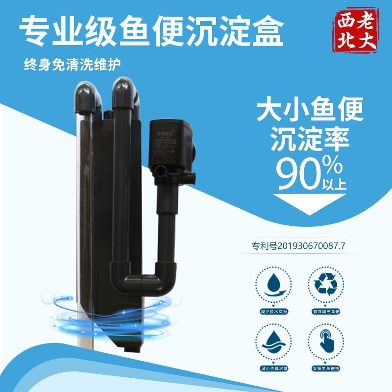 大型的魚缸怎么樣：大型魚缸價格計算大型魚缸的養護方法大型魚缸的養護方法