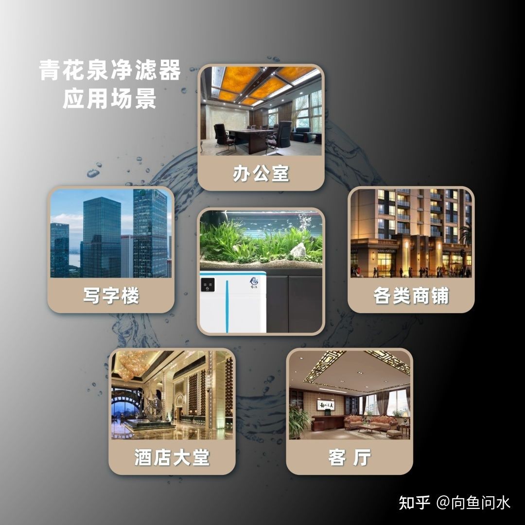 大型的魚缸怎么樣：大型魚缸價格計算大型魚缸的養護方法大型魚缸的養護方法
