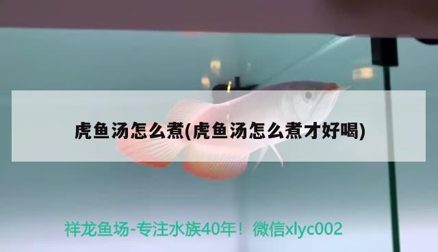 虎魚湯怎么煮(虎魚湯怎么煮才好喝)