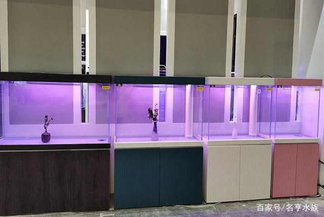 0.8米魚缸會壓塌樓板：0.8米的魚缸會壓塌樓板嗎？ 0.8米魚缸會壓塌樓板：0.8米的魚缸會壓塌樓板嗎？ 魚缸百科 第2張