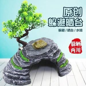科學界對“龍魚神龜”有何看法，湖光巖未解之謎