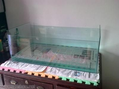 成品魚缸不拆缸割玻璃：成品魚缸不拆缸割玻璃可行嗎？
