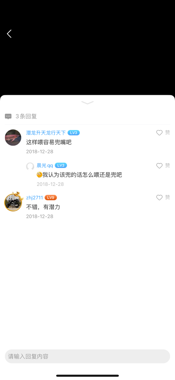 龍魚跳缸真的是很猛，哎