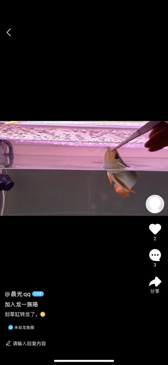 龍魚跳缸真的是很猛，哎