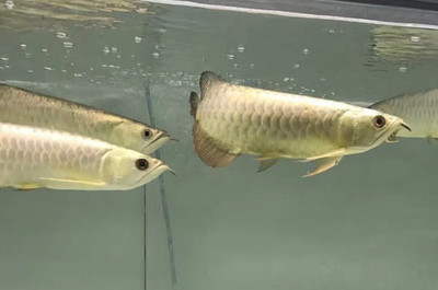 西寧城西洪濤水族館