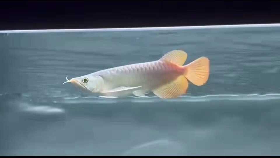 很久沒發了