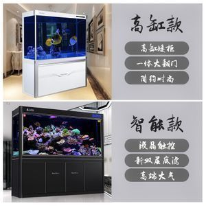 黑金魟魚專用飼料營養(yǎng)分析，黑金魟魚專用飼料的營養(yǎng)成分對于健康生長至關重要