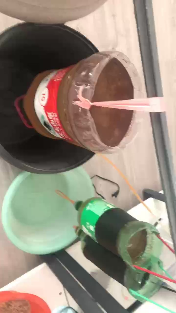 收蝦 收蝦 龍魚論壇