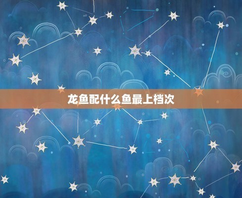 龍魚屬于什么檔次