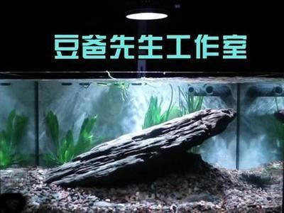 水鴉水族有限公司