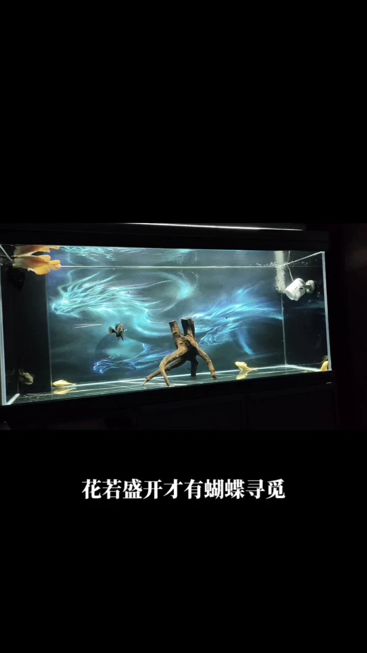 堅持[woquan]歐耶[woquan]@