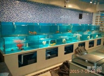 定做海鮮魚缸多少錢一個：定做海鮮魚缸價格因尺寸、材質、工藝等因素而有所不同