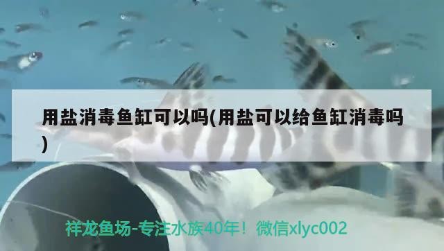 用鹽消毒魚缸可以嗎(用鹽可以給魚缸消毒嗎)