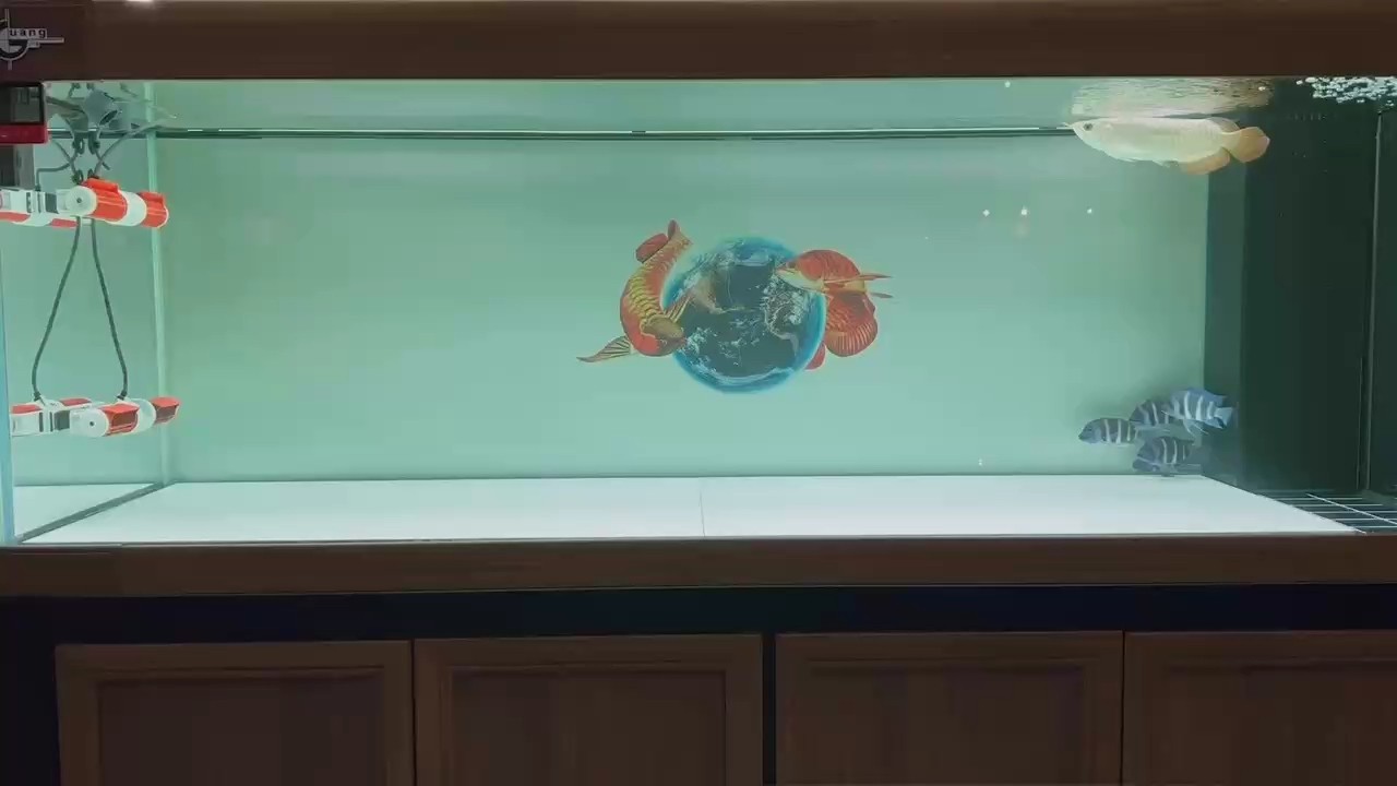 特里斯紅外線孟吉爾（小萬吉）
