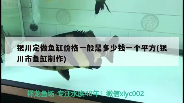 銀川定做魚缸價格一般是多少錢一個平方(銀川市魚缸制作)