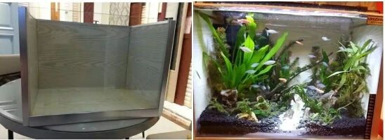 不需要換水的生態魚缸有哪些：生態魚缸的養護與注意事項