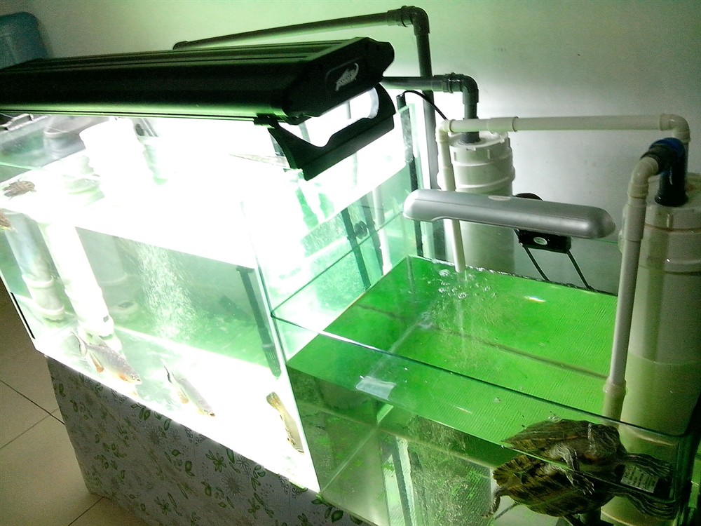 大桶水做魚缸過濾器好嗎：大桶水做魚缸過濾器的優點和缺點