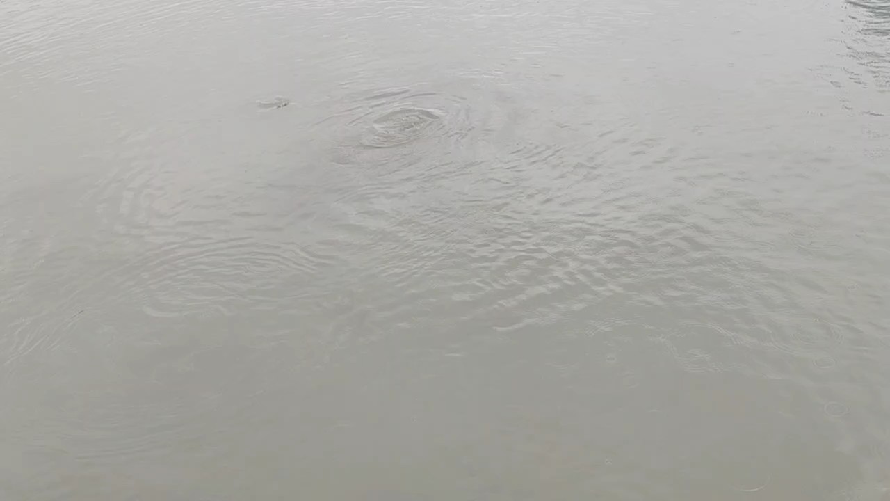 風調雨順