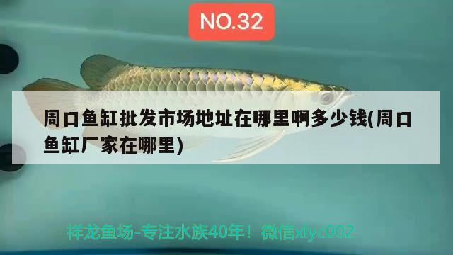 周口魚缸批發市場地址在哪里啊多少錢(周口魚缸廠家在哪里) 周口魚缸批發市場地址在哪里啊多少錢(周口魚缸廠家在哪里) 虎魚百科