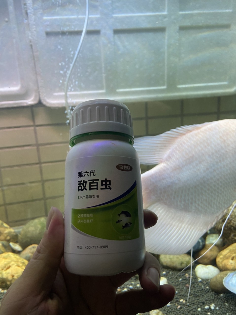 今天買了一瓶敵百蟲