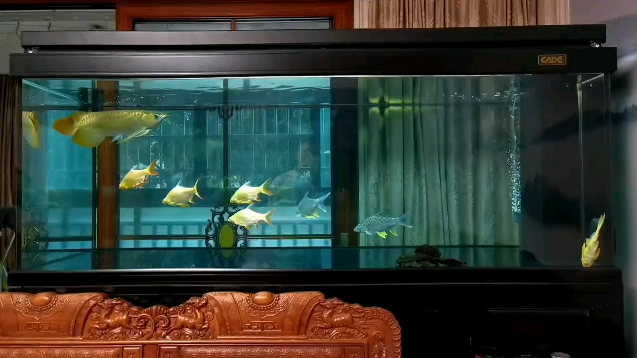 炸水