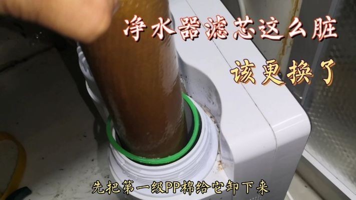 博雅水族魚缸兩側濾芯怎么換的：博雅水族魚缸兩側濾芯更換方法