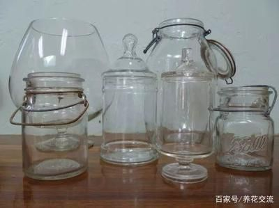 玻璃魚缸用什么清洗最好：玻璃魚缸怎么清洗？