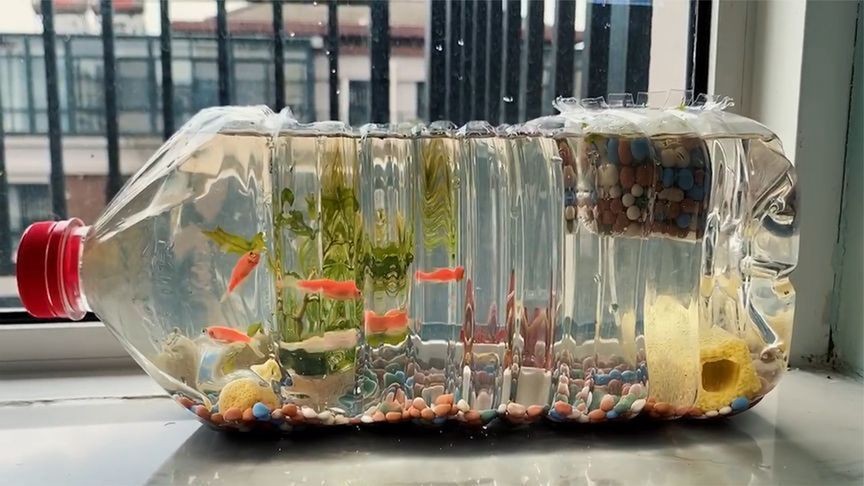 5個礦泉水瓶魚缸多大容量：5個礦泉水瓶魚缸的保養方法