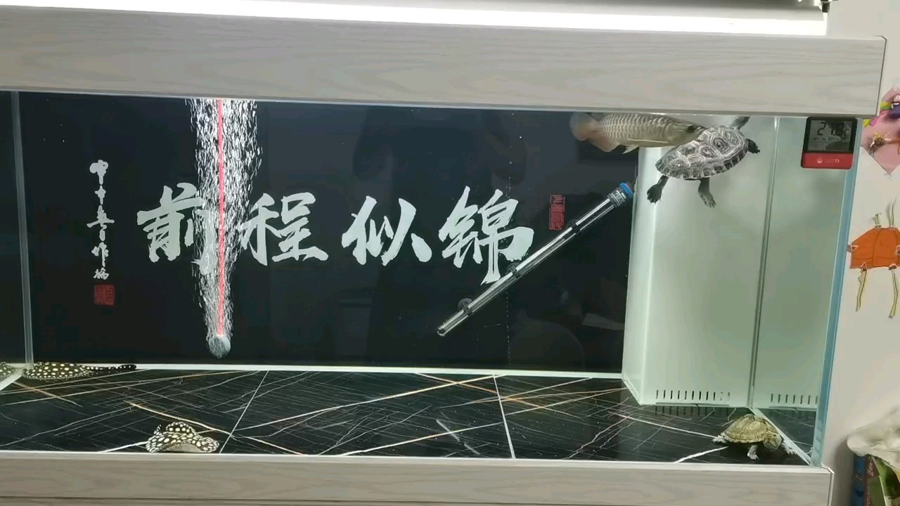 小家伙膽小，不能擦缸，臟一段時間吧