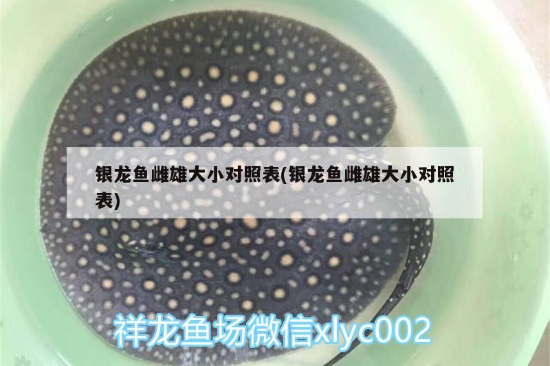 銀龍魚雌雄大小對(duì)照表(銀龍魚雌雄大小對(duì)照表)