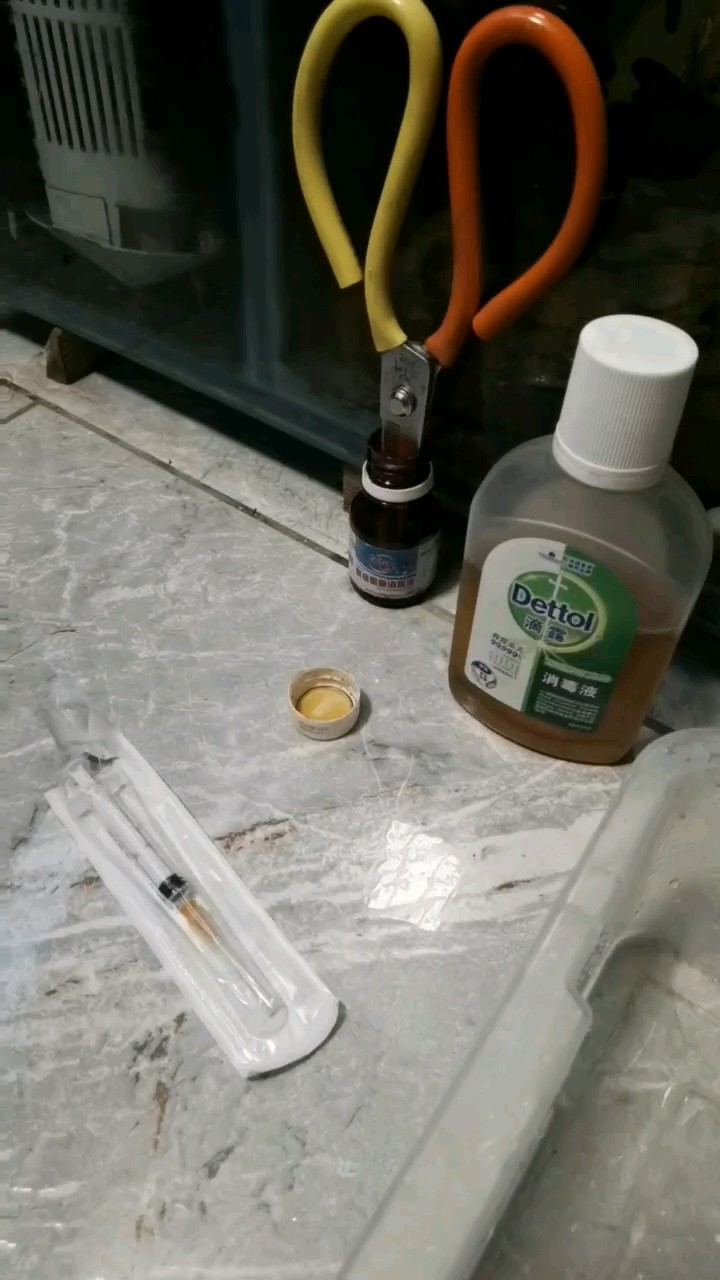 龍魚(yú)翻腮