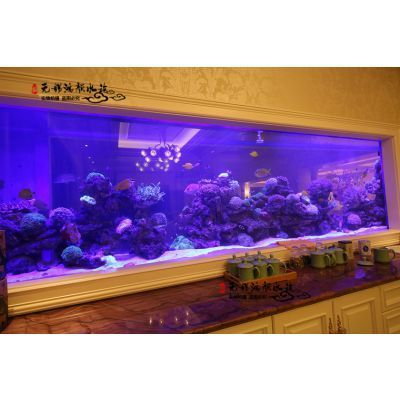 大型定制魚缸多少錢一臺：大型定制魚缸價格
