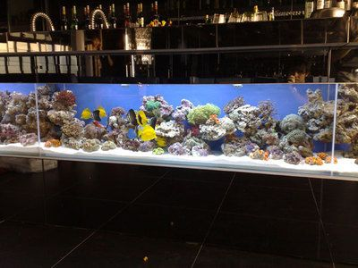 大型定制魚缸多少錢一臺：大型定制魚缸價格