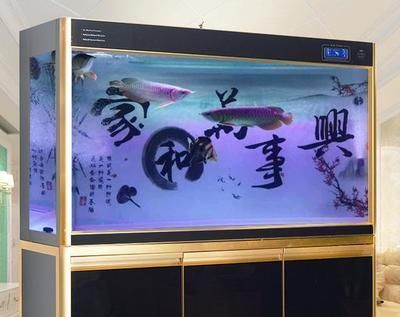 紅龍魚缸背景顏色怎么選的：紅龍魚缸背景顏色的選擇