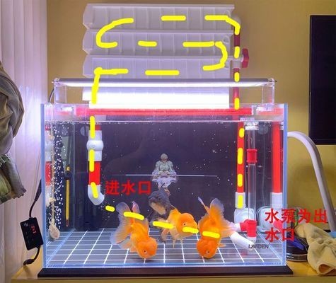 森森魚缸he480燈固定顏色（森森h(huán)e480魚缸燈光變色）