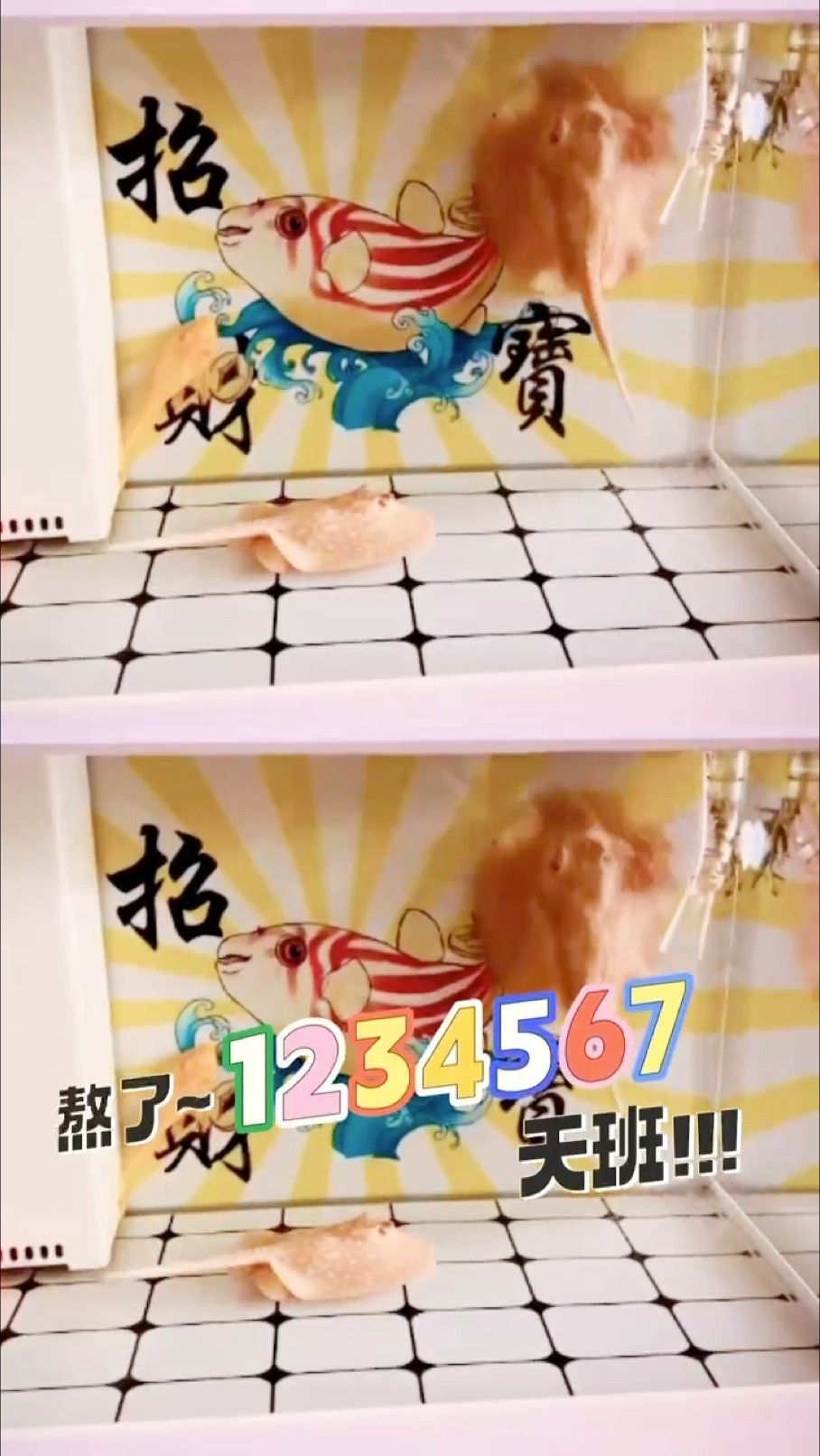準備迎接周末