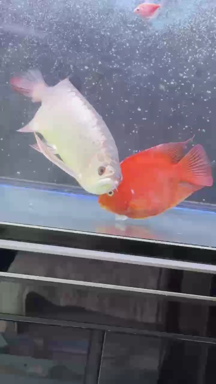海底澇