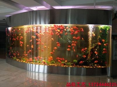 超大型魚缸用什么玻璃比較好：超大型魚缸玻璃厚度選擇指南