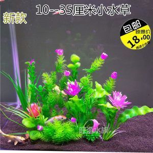 咸陽市秦都區金彩水族店（咸陽市秦都區金彩水族店地址）